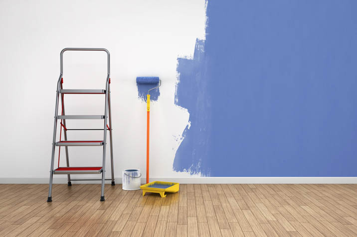 Interior Repaintting Services Delhi Painter